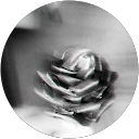 Nida Ismail profile picture